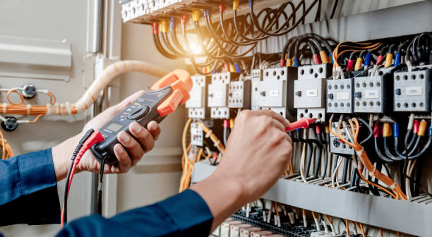 Best Electric Panel Repair  in Bronte, TX